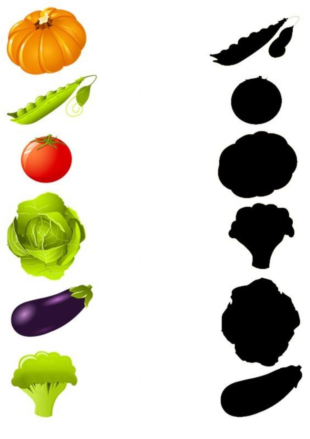 Legume de toamnă-Găsește umbra!