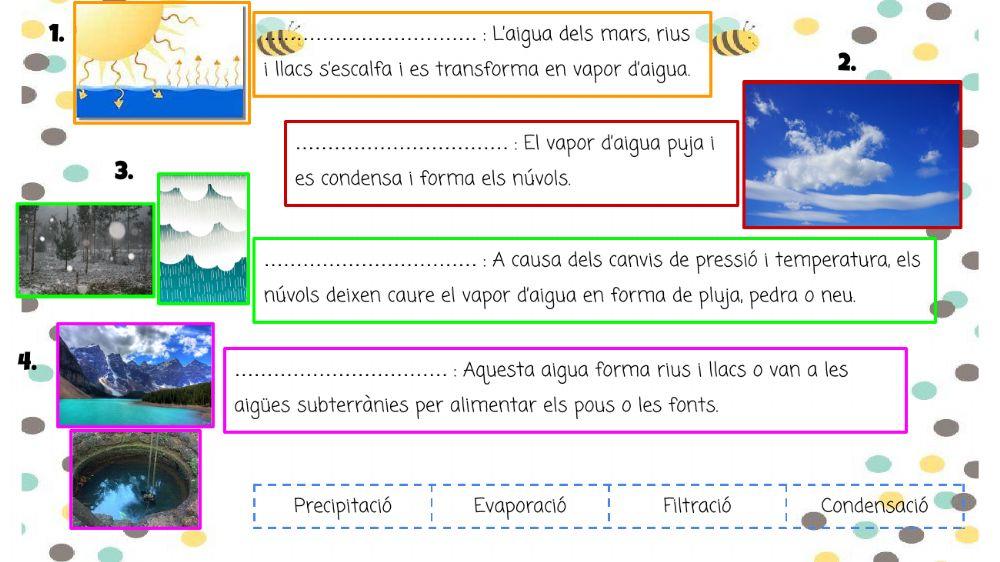 El viatge de l'aigua