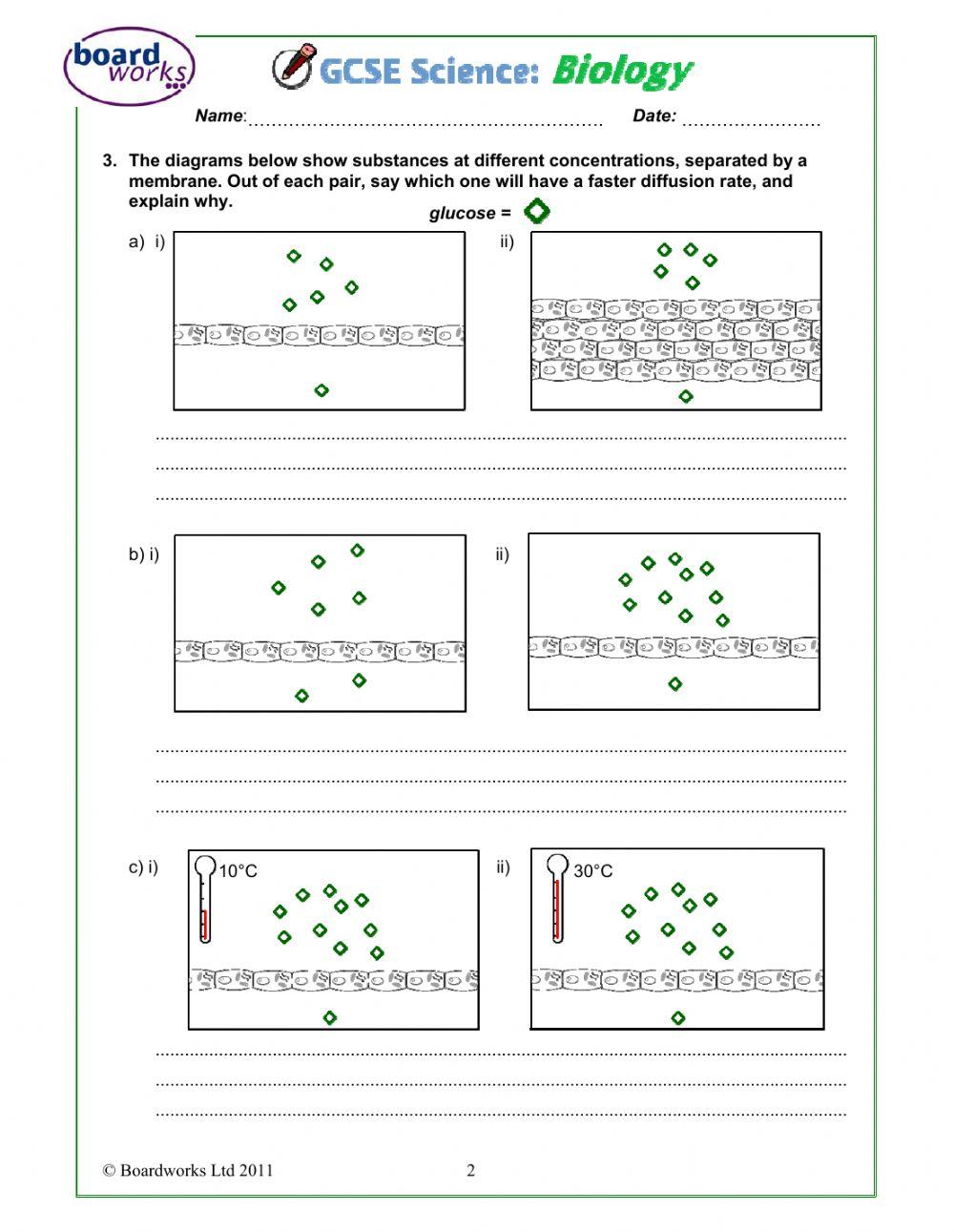 Movement in and out of cells 2 online exercise for live worksheets