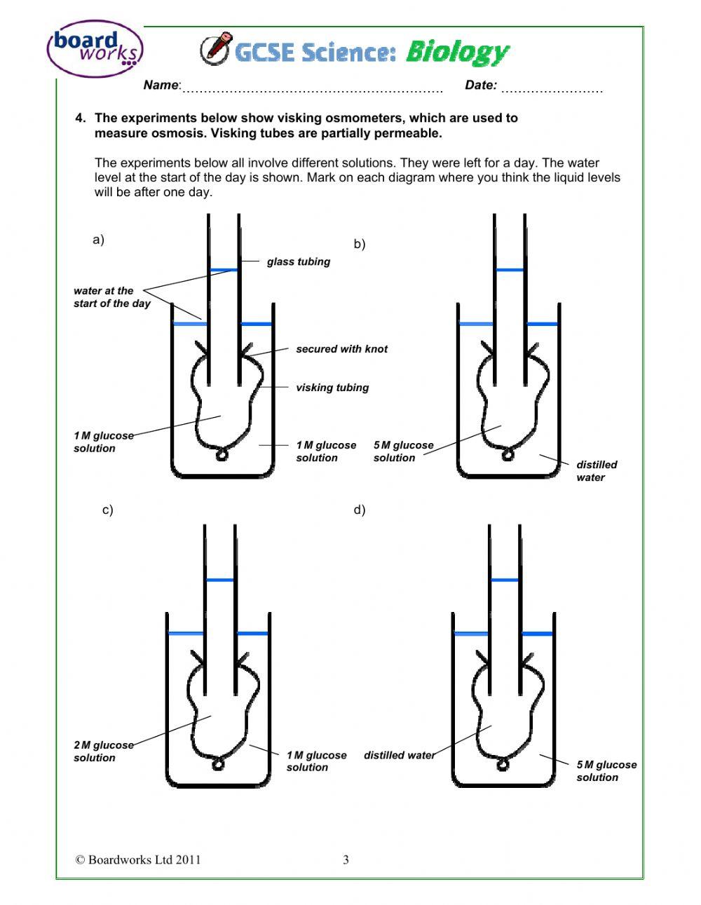 Movement in and out of cells 2 online exercise for live worksheets