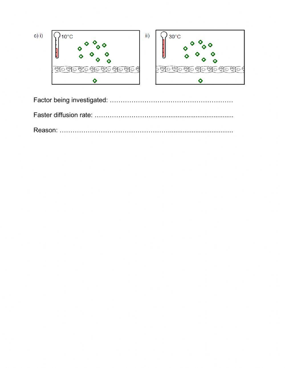 5820402 factors that affect the rate of diffusion ws i
