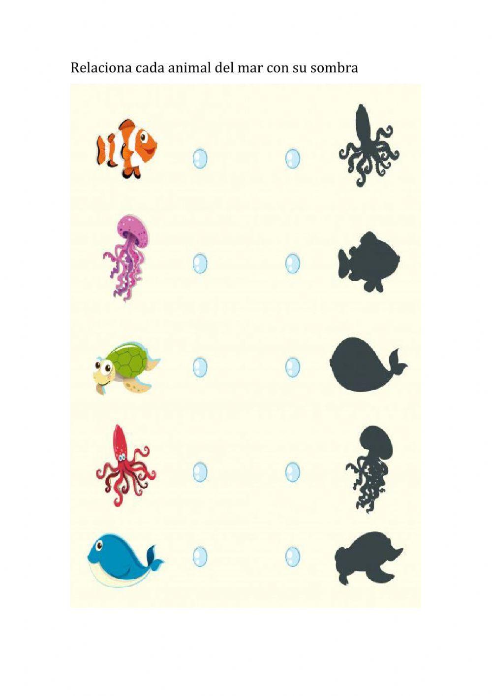 INFANTIL SOMBRAS DEL MAR