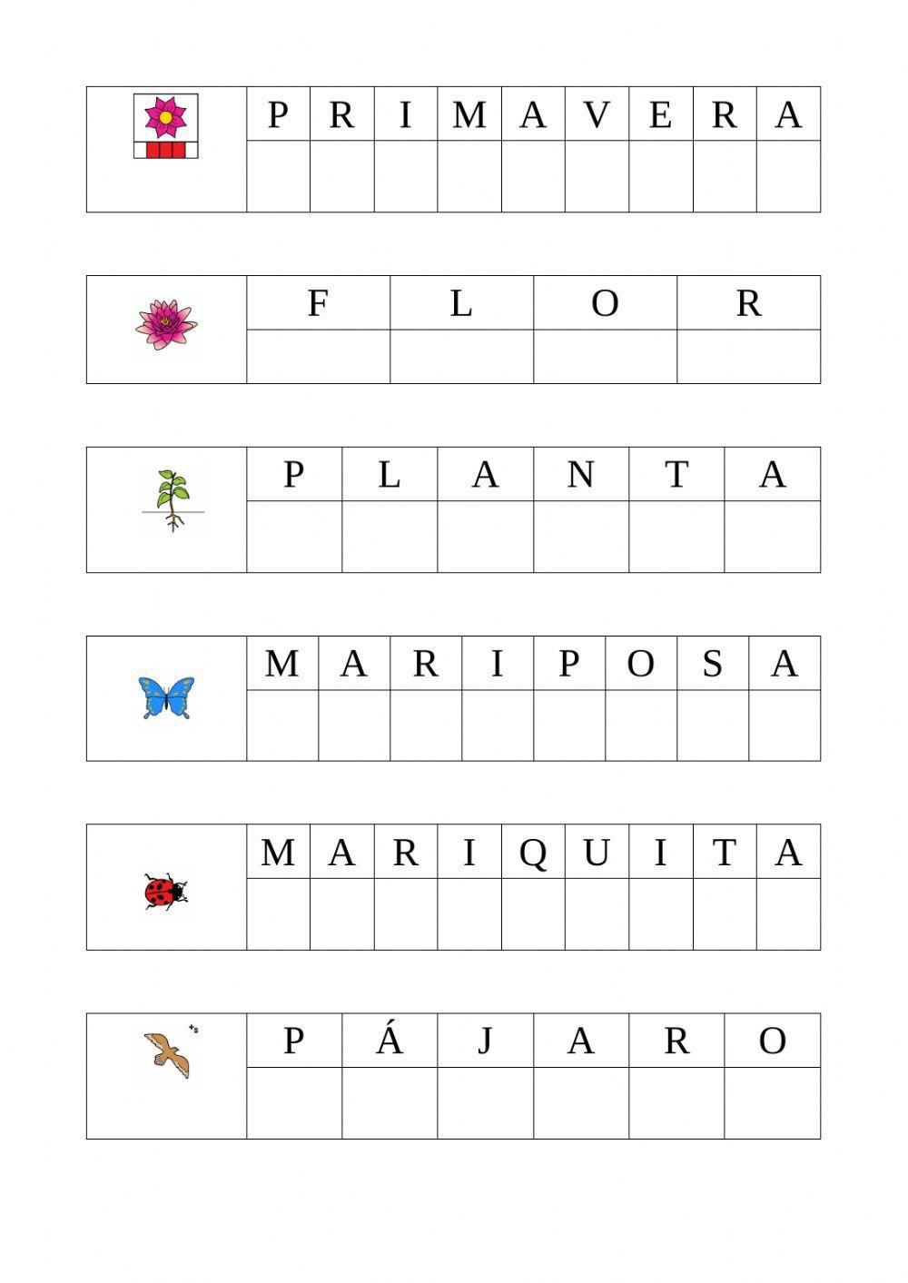 Ficha lectura global primavera