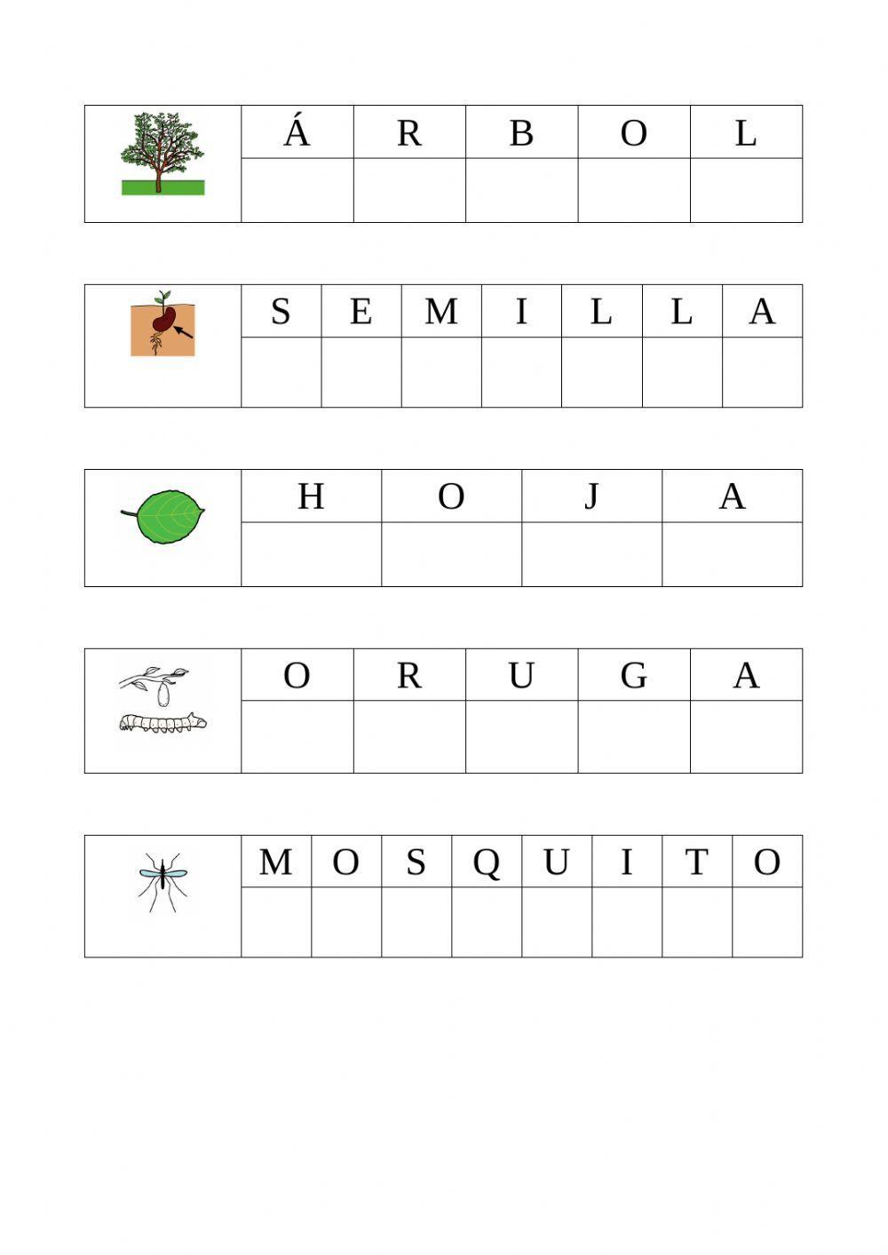 Ficha lectura global primavera