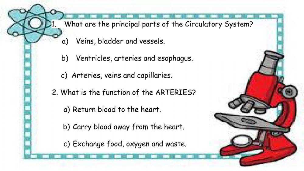 Circulatory System quiz