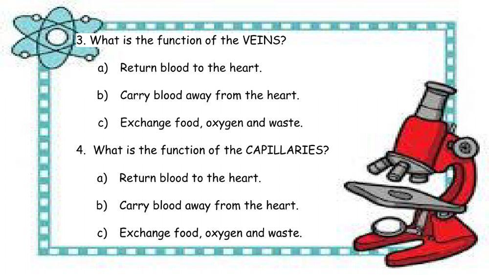 Circulatory System quiz