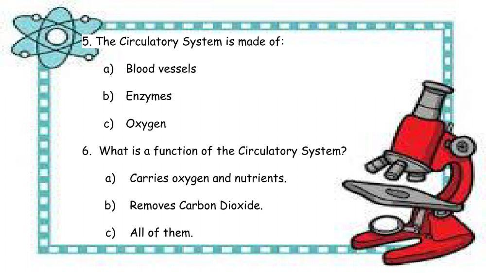 Circulatory System quiz