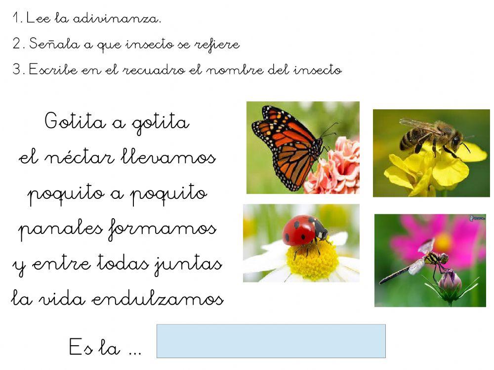 ¿Por qué hacen miel las abejas