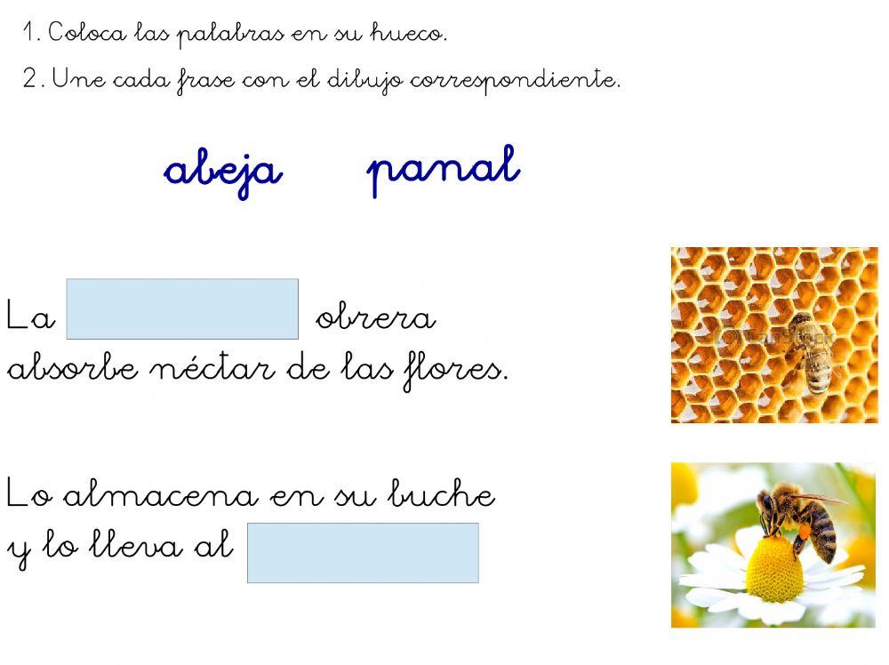 ¿Por qué hacen miel las abejas