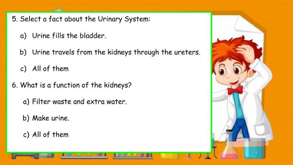 Urinary System quiz
