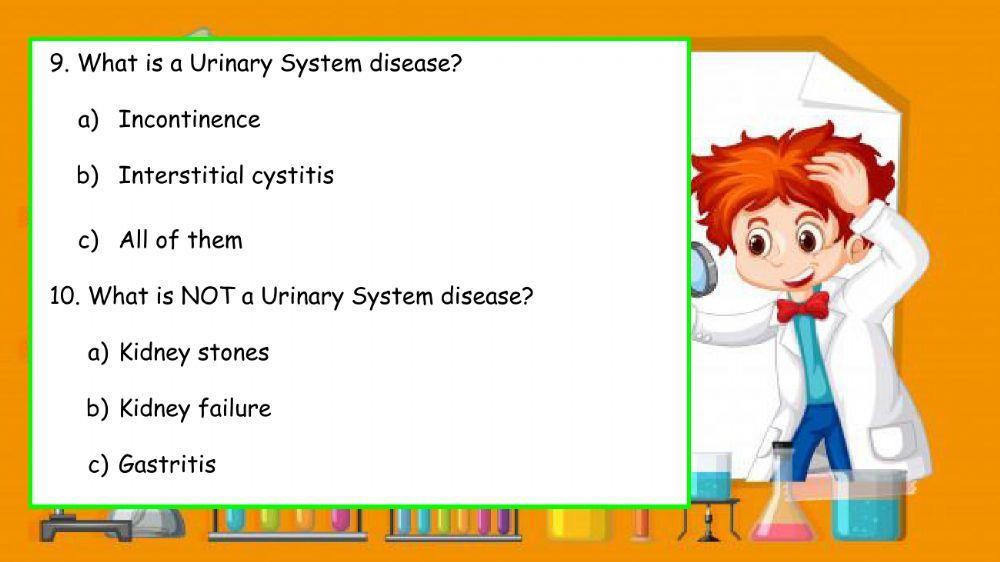 Urinary System quiz