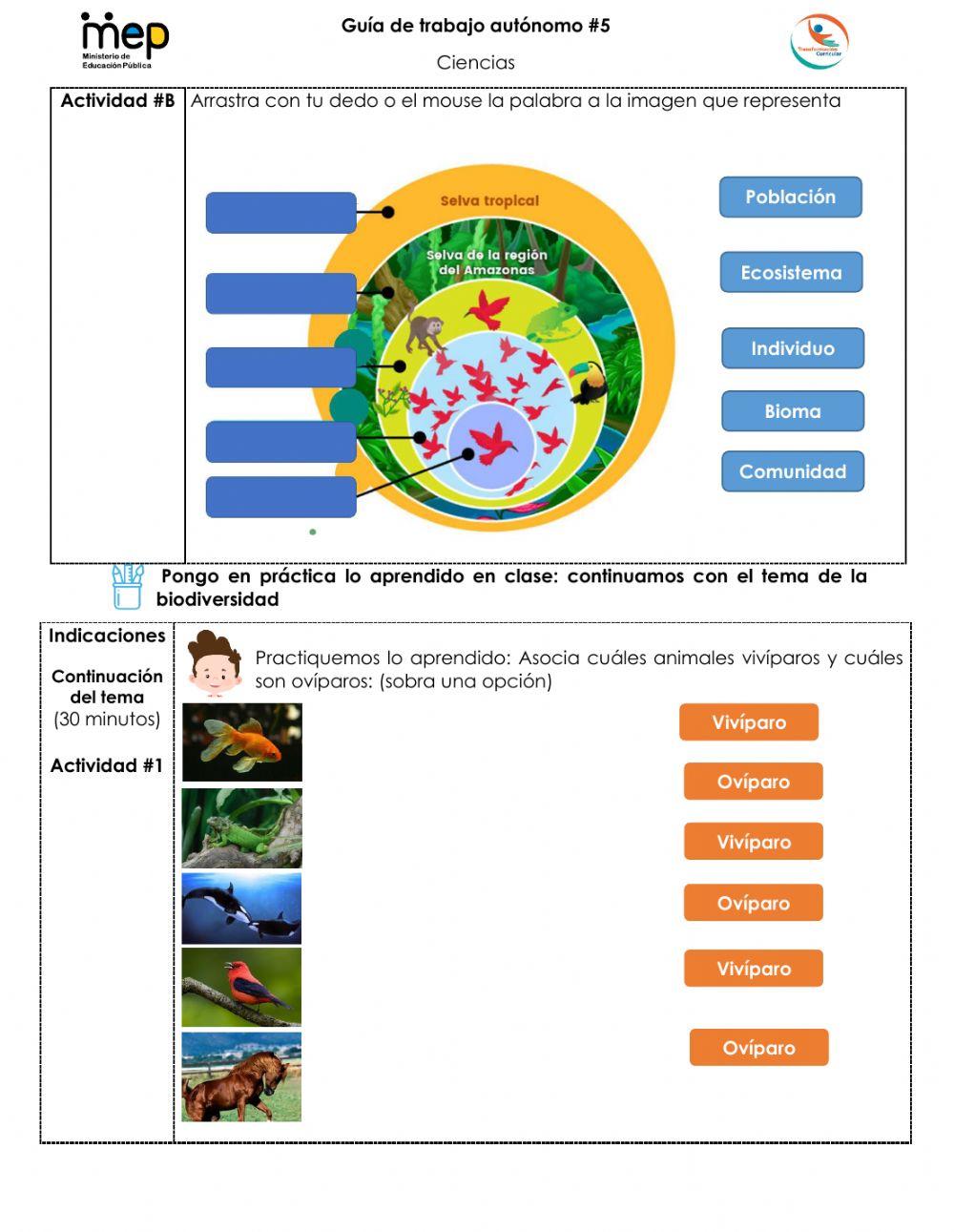 Repaso Biodiversidad