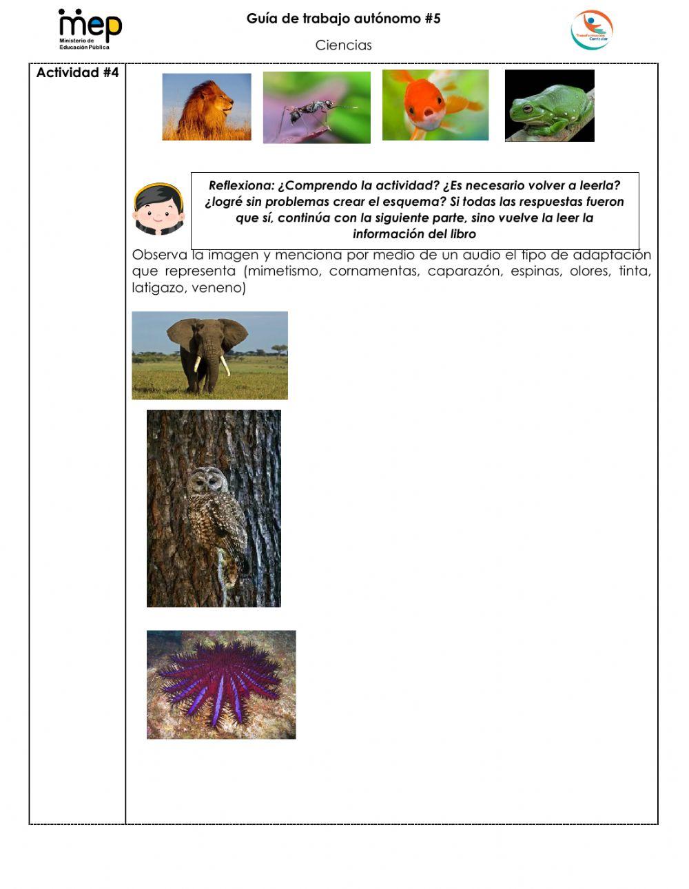 Repaso Biodiversidad