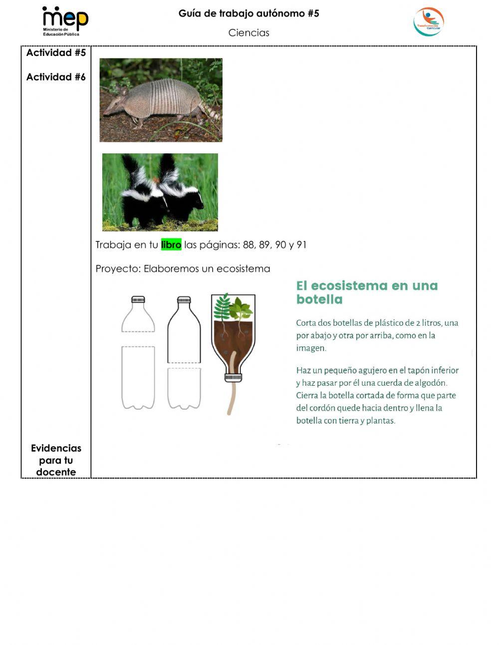 Repaso Biodiversidad