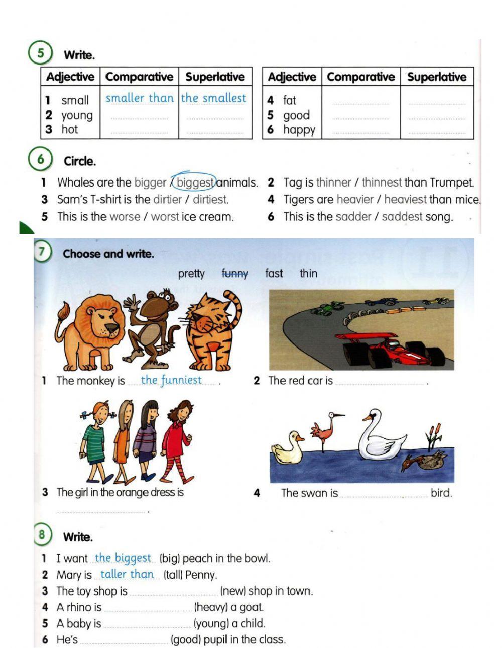 The best zoo in the world