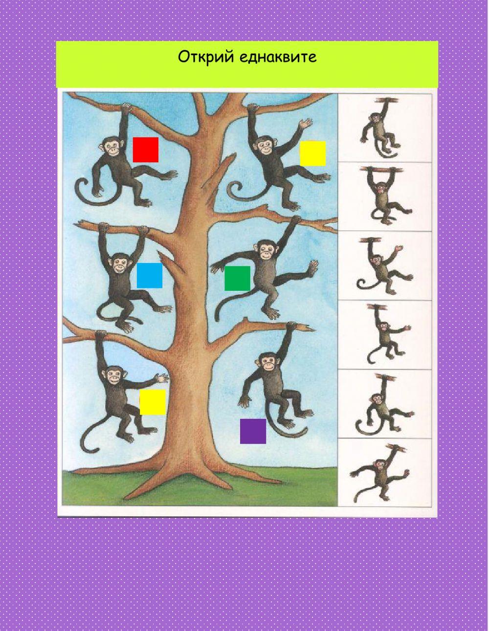 Познавателно развитие