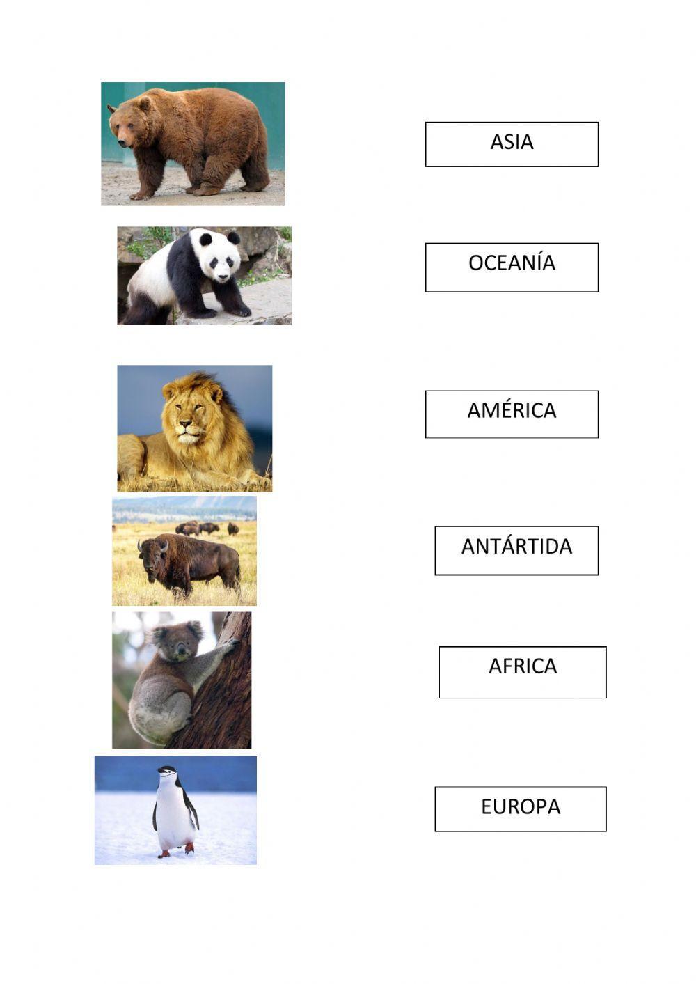 Animales y continentes