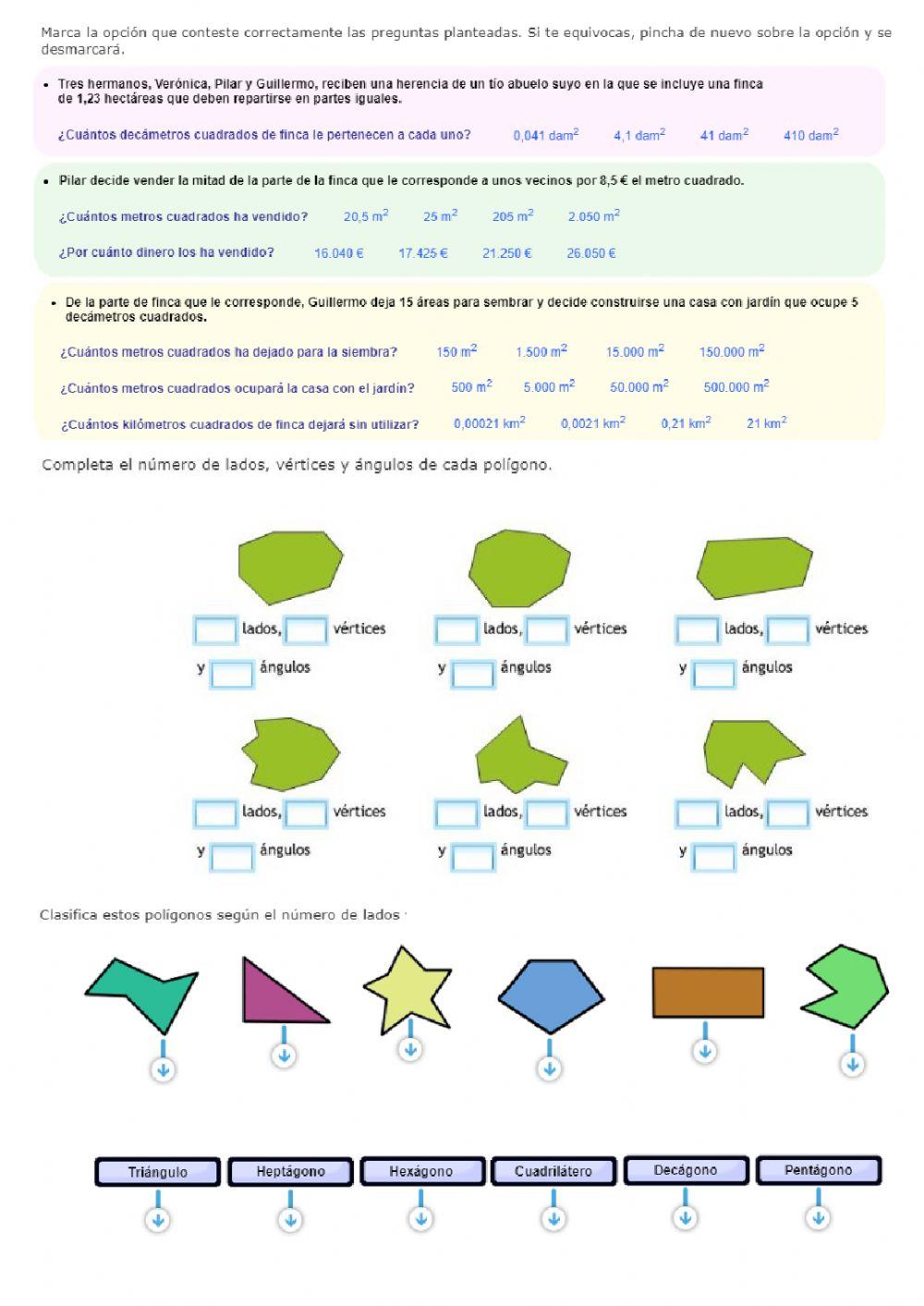Medidas y geometría 5º EP