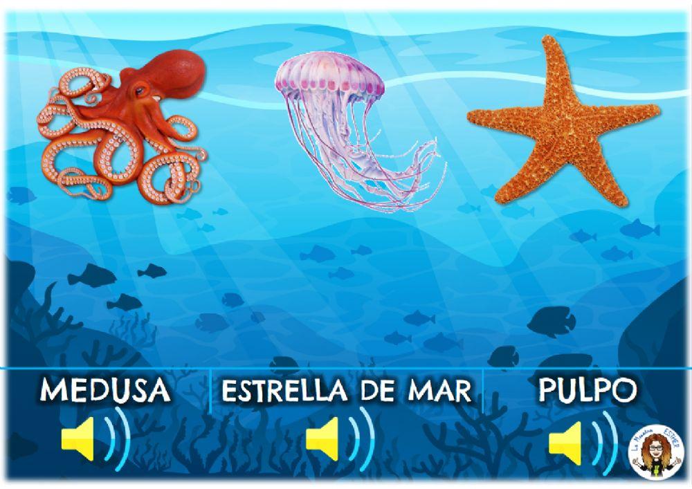 Vocabulario Animales marinos