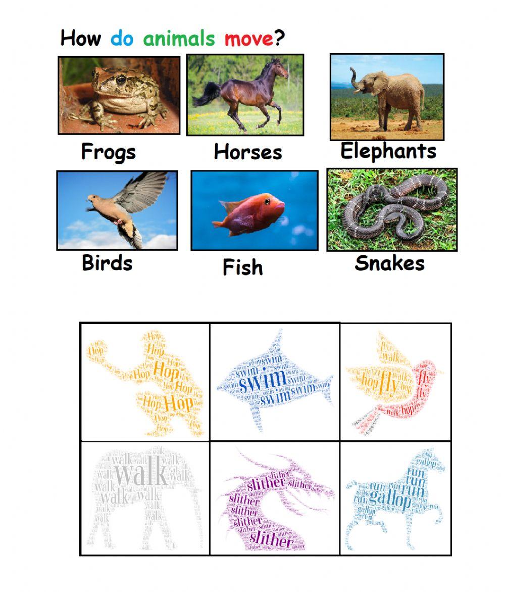 How do animals move? jason_jordan Live Worksheets