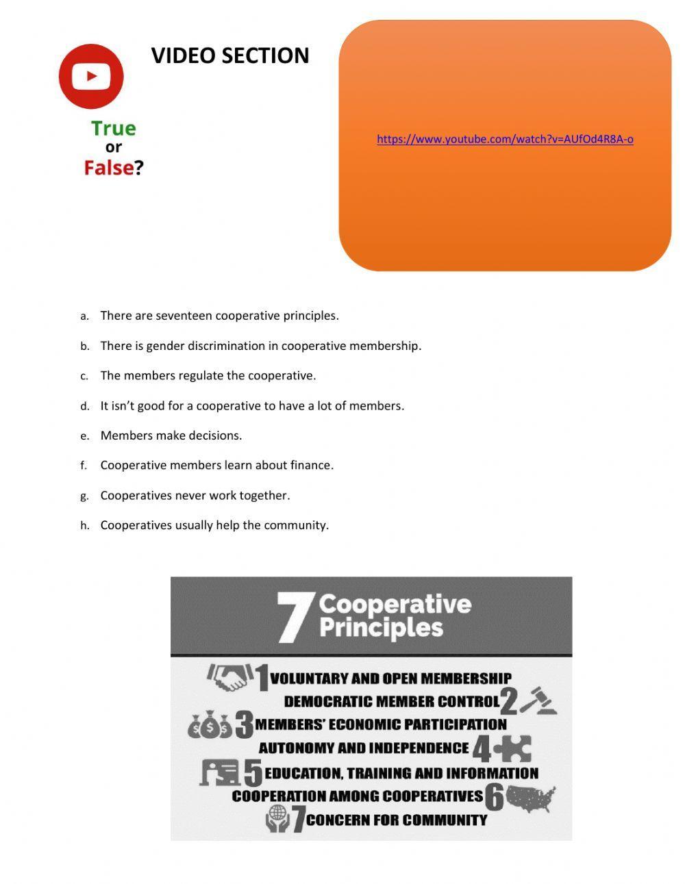 Video Section Cooperatives