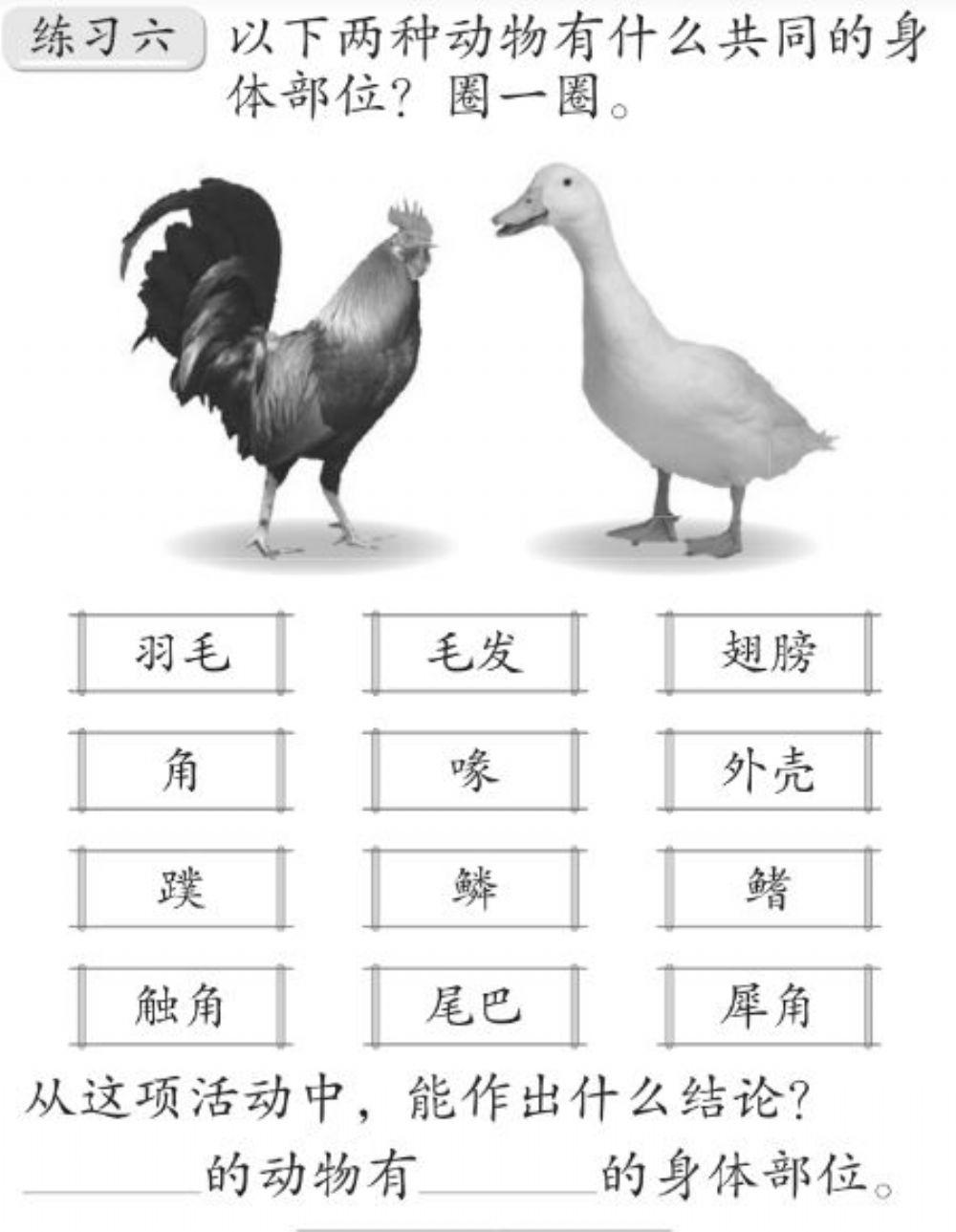 Pg 28 动物的身体部位