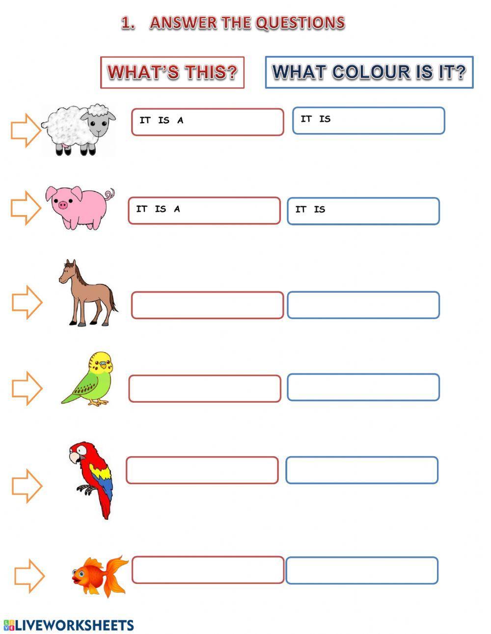 What's this? What colour is it?