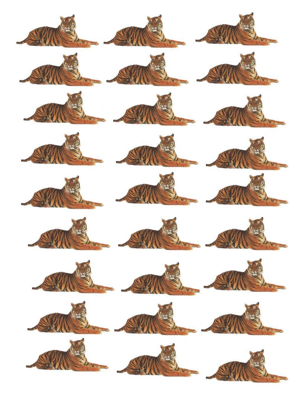 Footle, tximino ñimiñoa