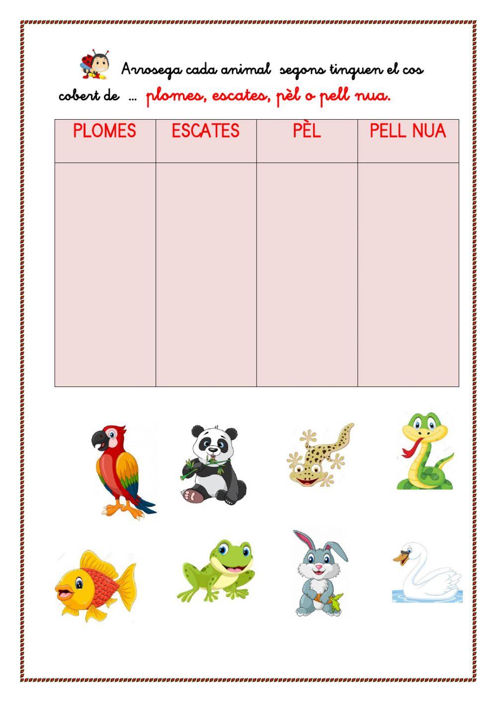 Animals VERTEBRATS i INVERTEBRATS