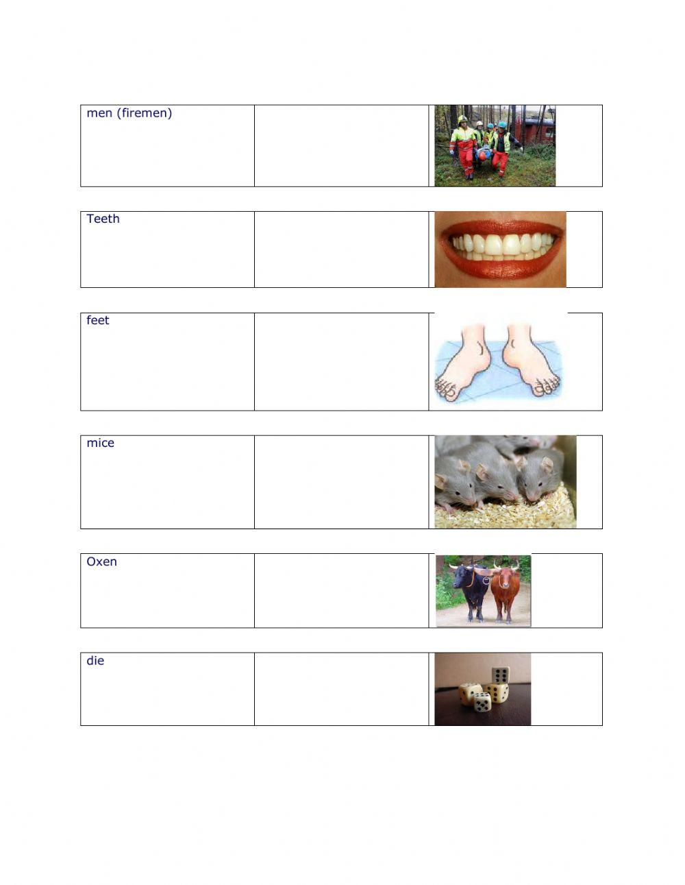 Plural pronunciation 1