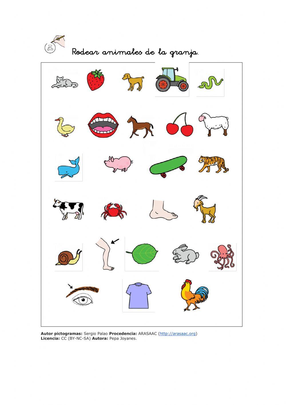 Busca y encuentra por campos semánticos