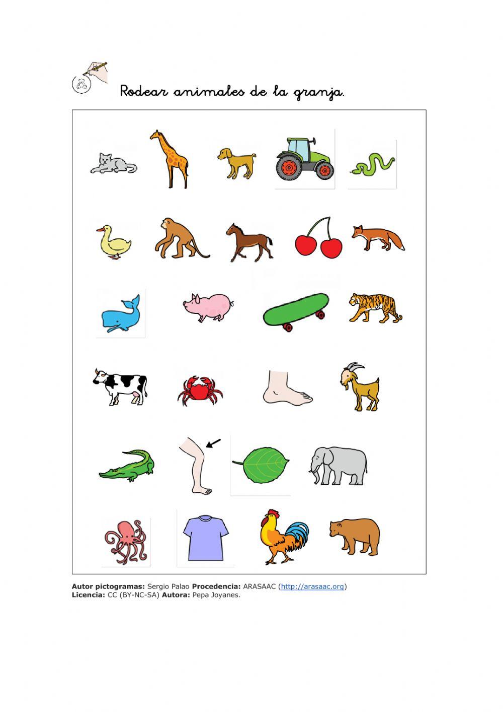 Busca y encuentra por campos semánticos