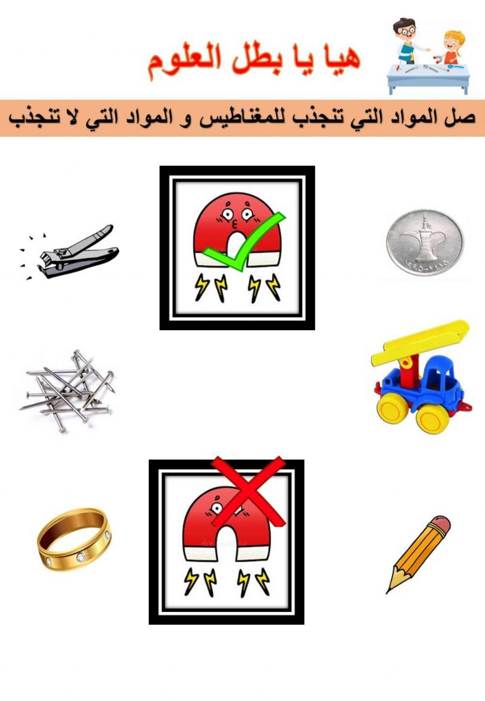 المغناطيس