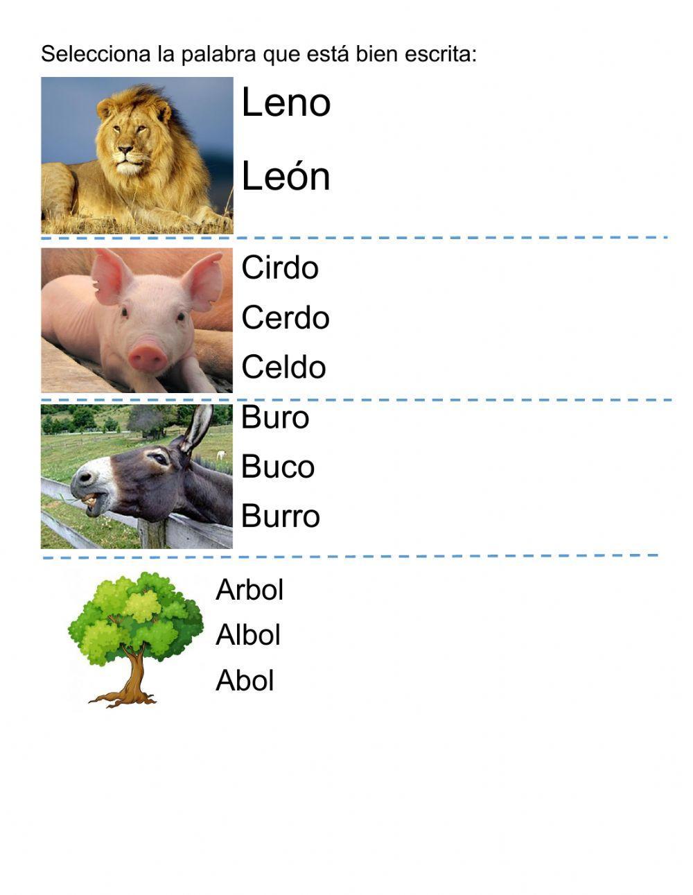 Evaluacion castellano
