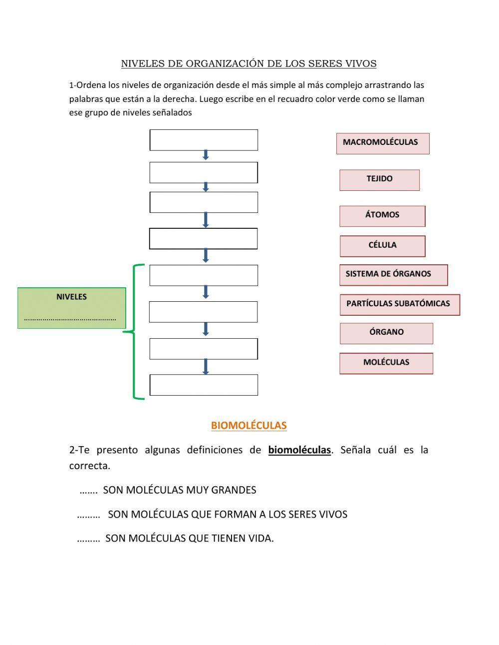 Niveles de organización y biomoléculas