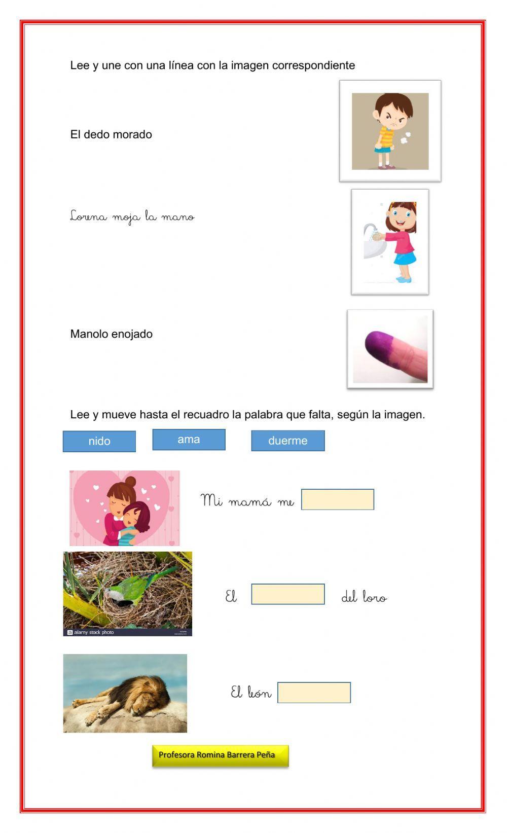 Lección lana, loro, nido Método Matte