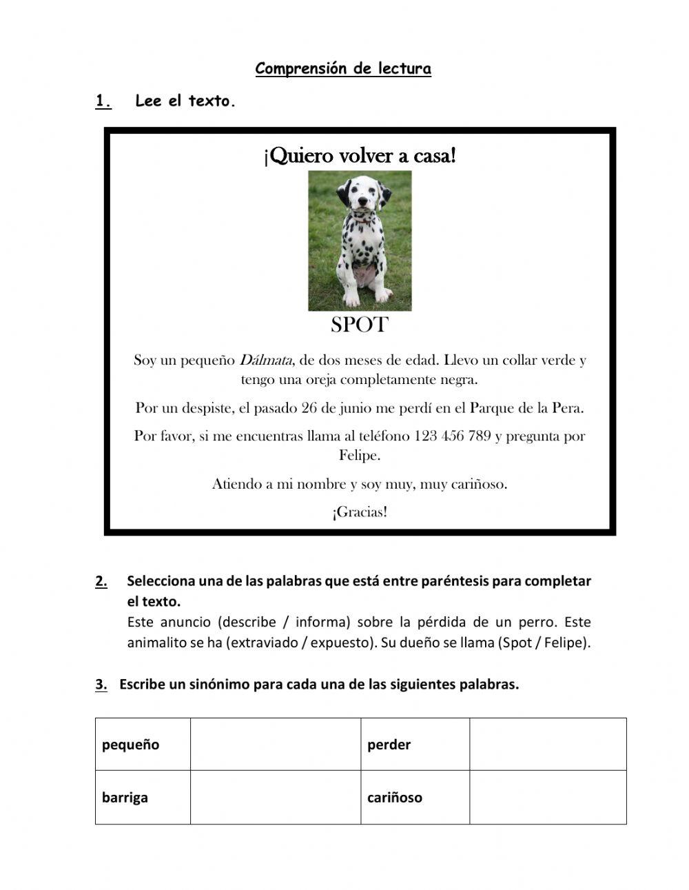 Comprensión de lectura