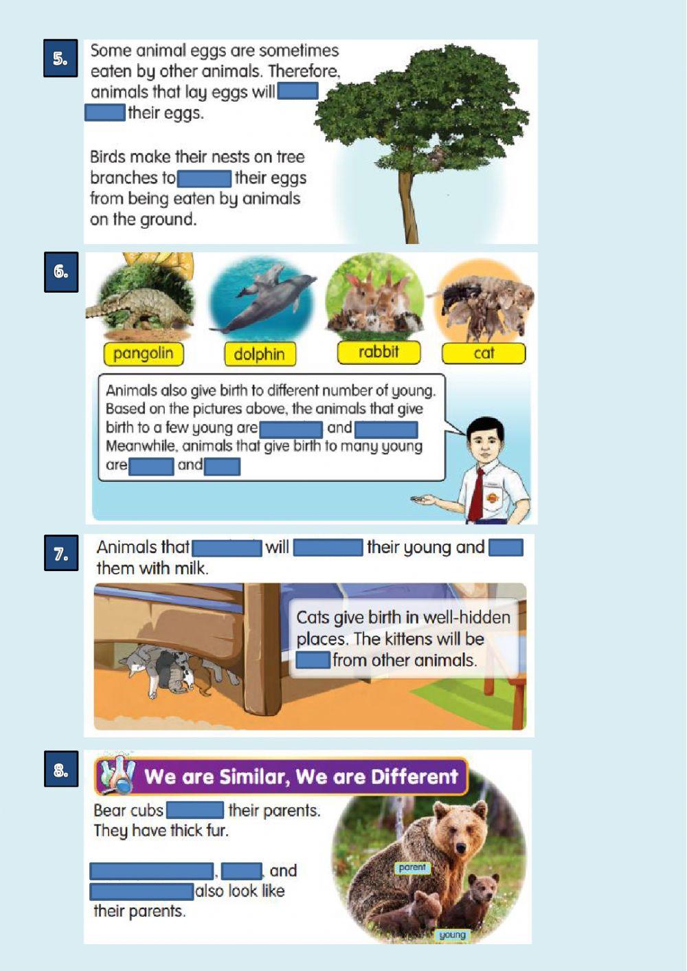 SCIENCE YEAR 2 ANIMALS REPRODUCTION