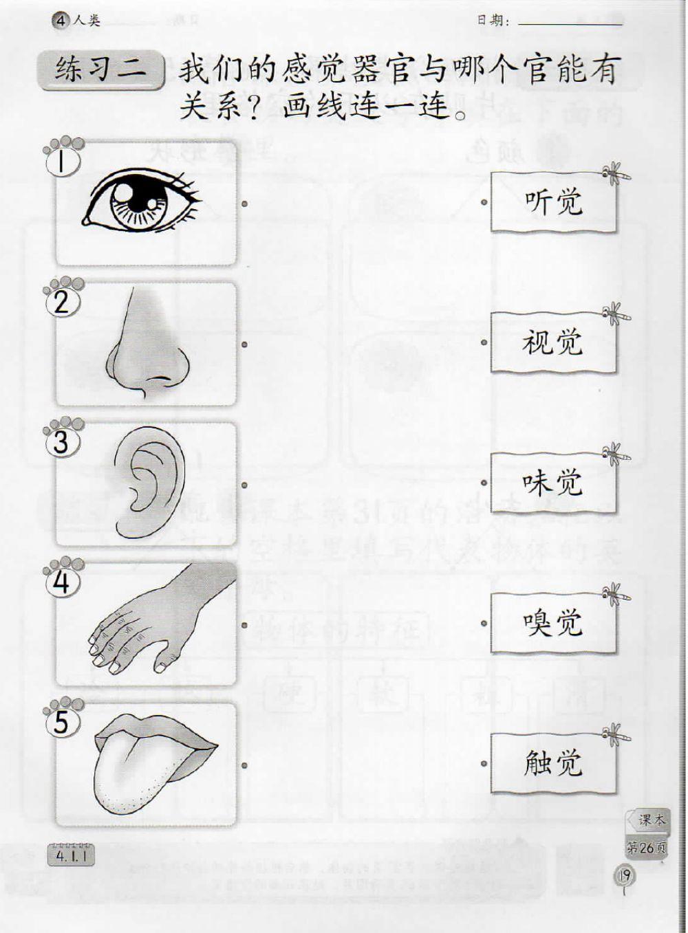 一年级科学活动本-page19