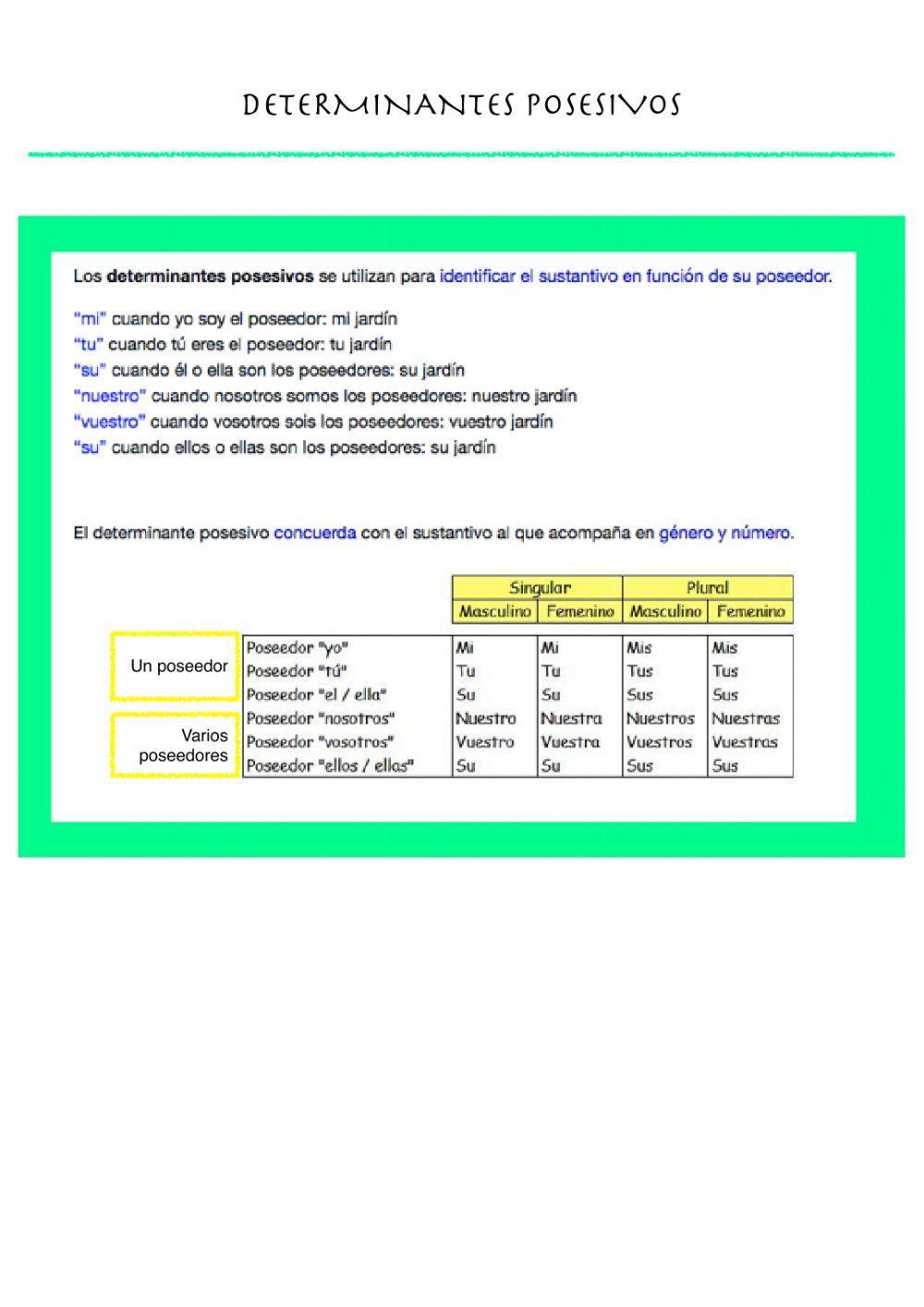 Determinantes posesivos y numerales