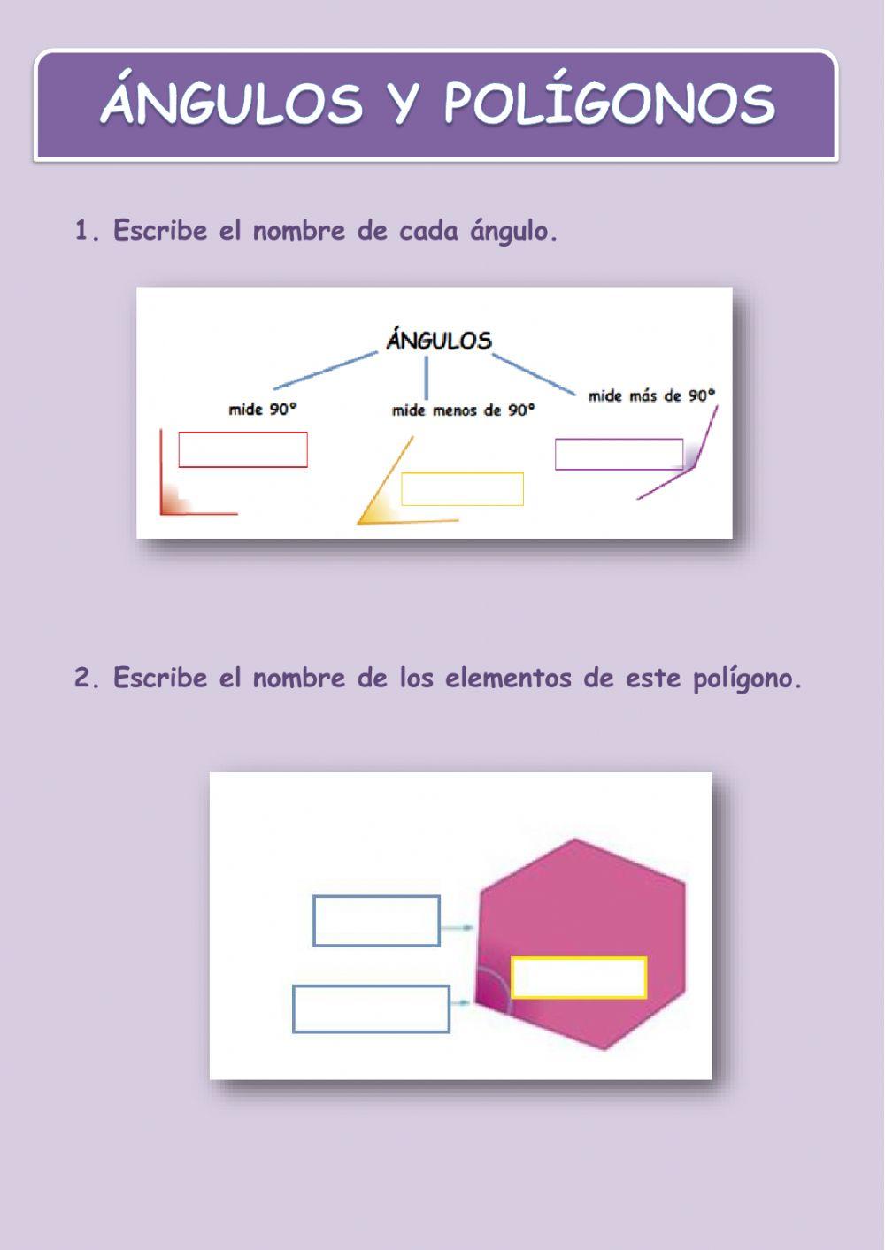 Ángulos y polígonos
