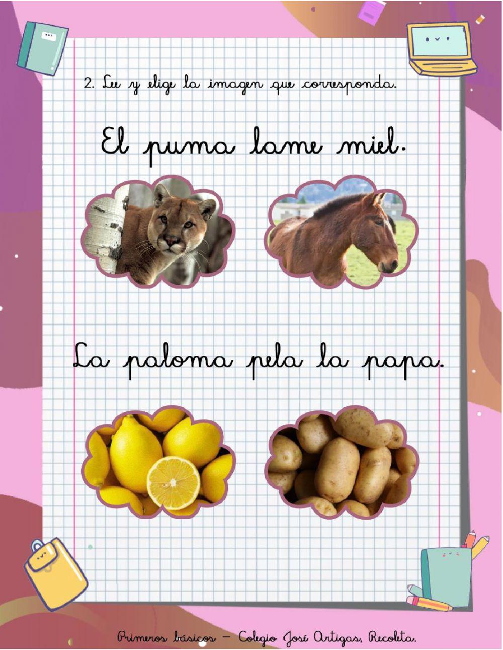 Repaso letra P Repaso letra P