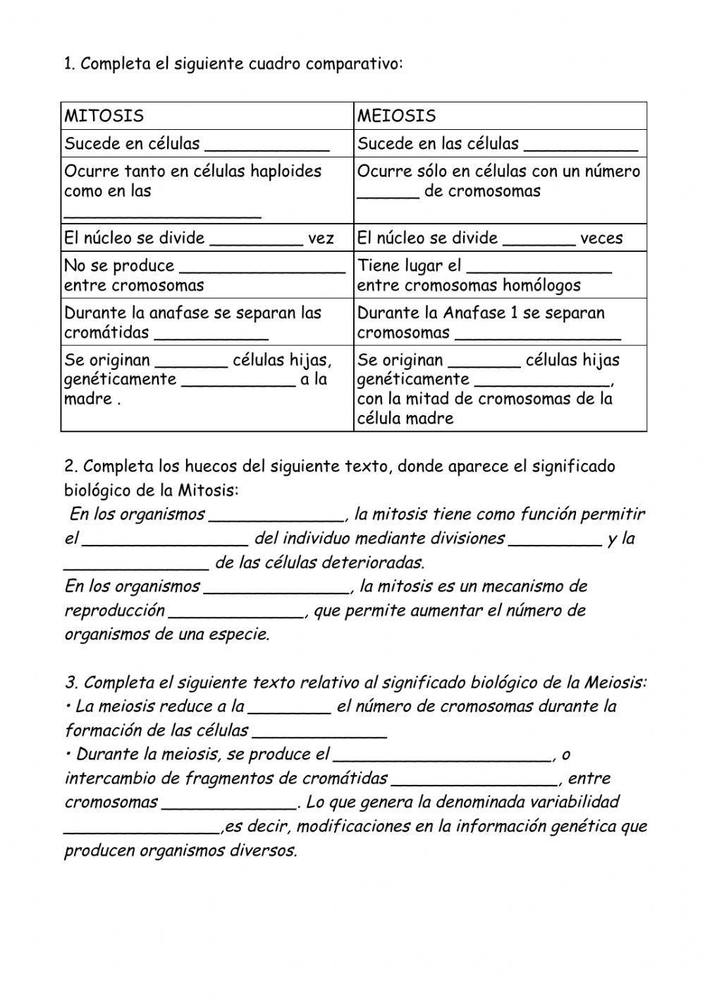 Diferencias entre mitosis y meiosis