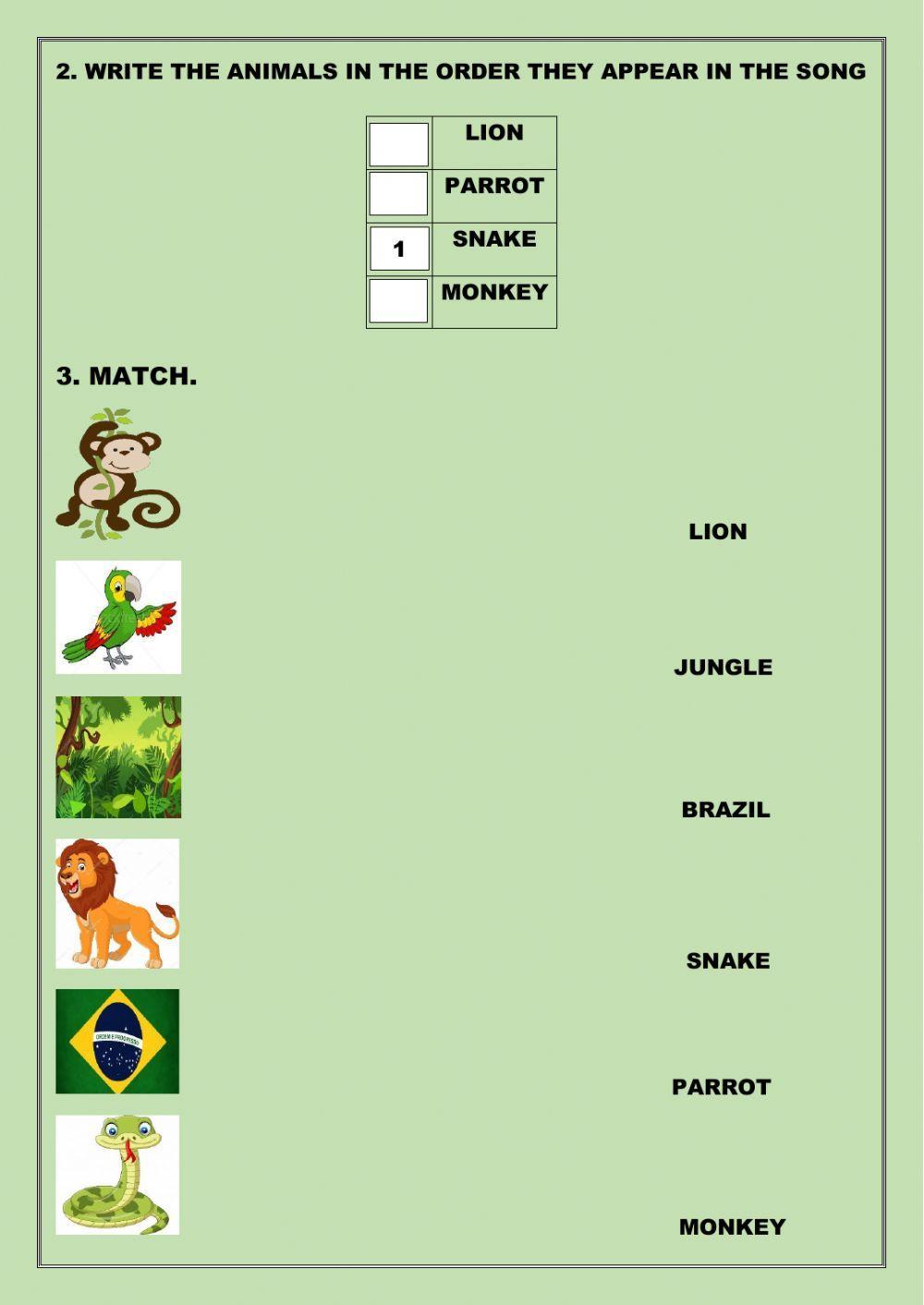 Jungles of Brazil Activity