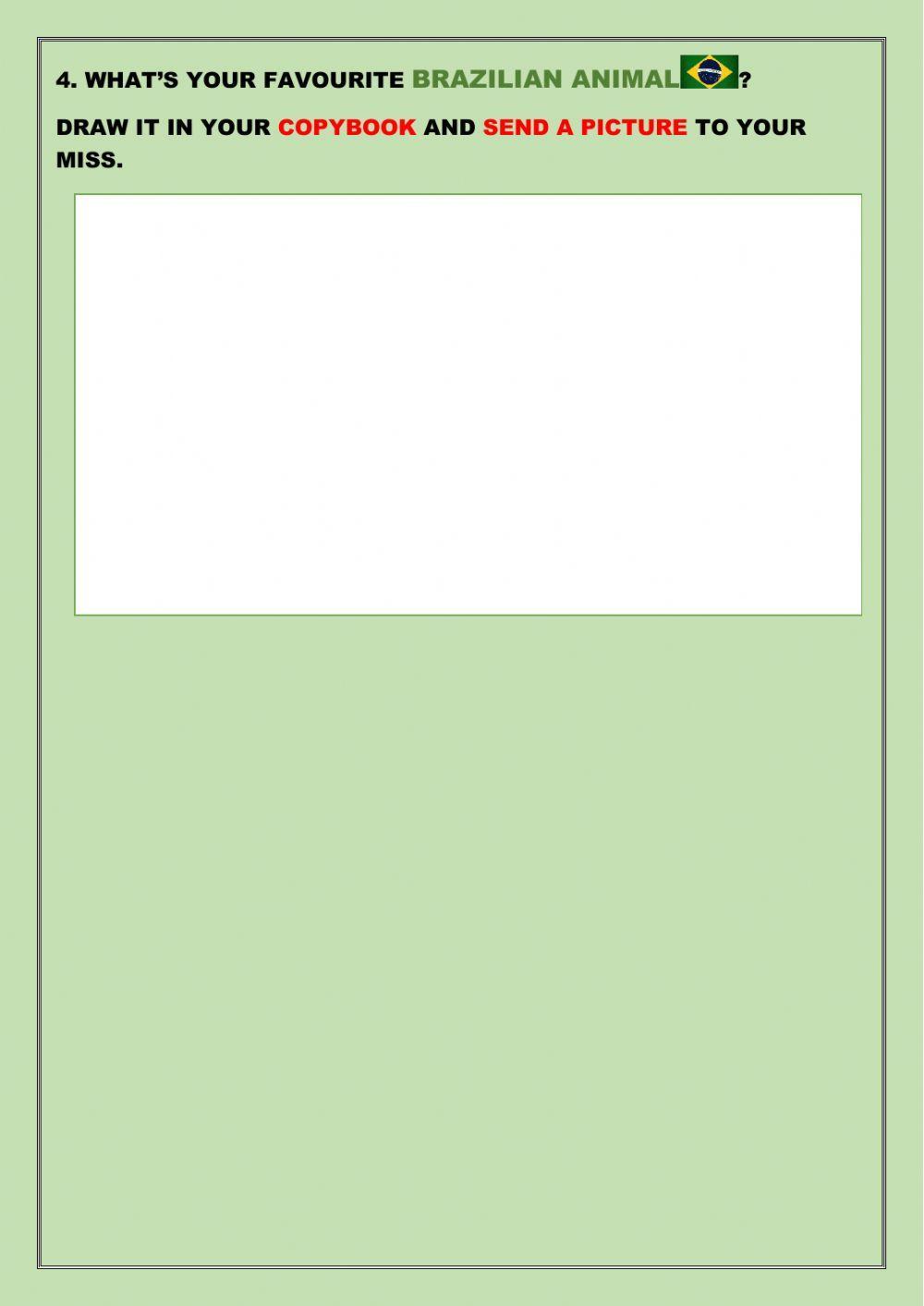 Jungles of Brazil Activity