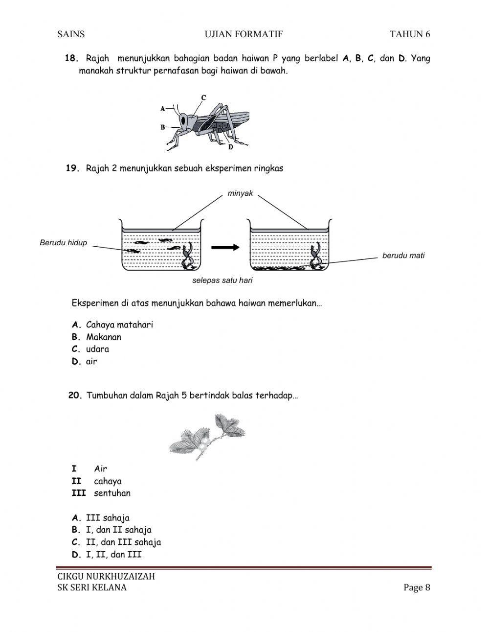Ujian Formatif Sains Tahun 6