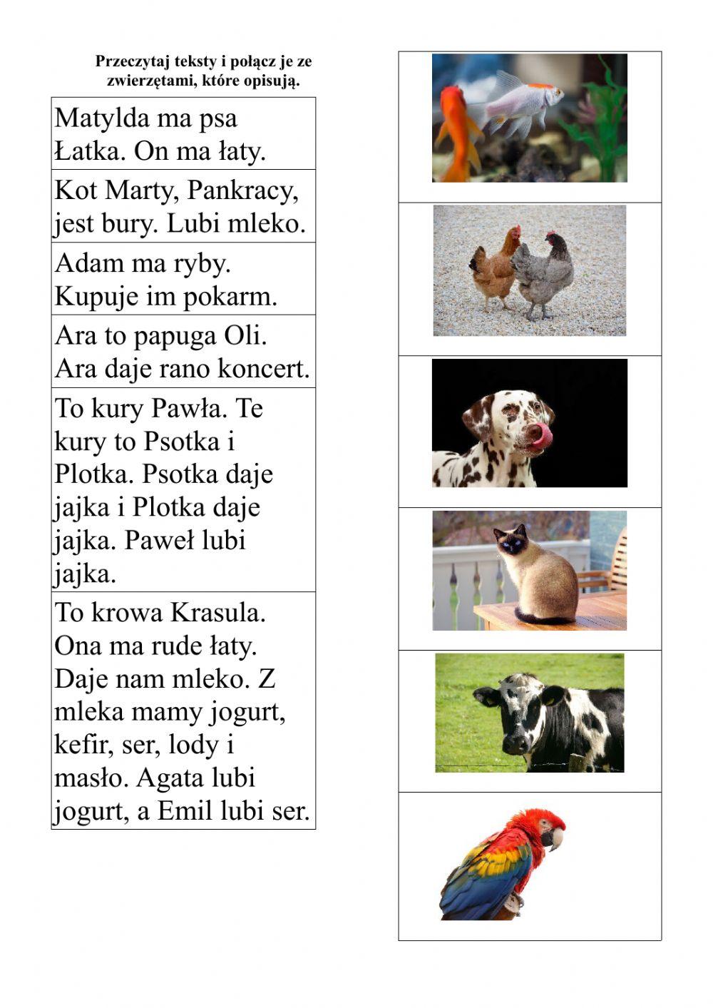 Czytanie - zwierzęta