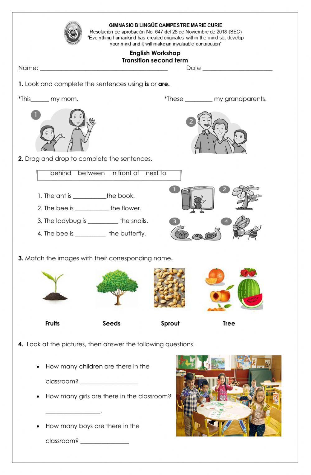 English workshop 2nd term
