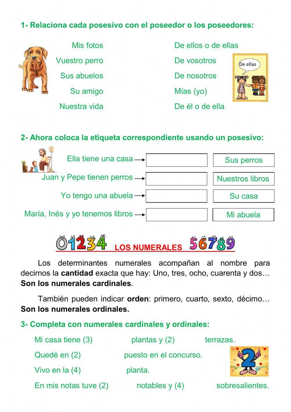 Los determinantes (2ª parte)