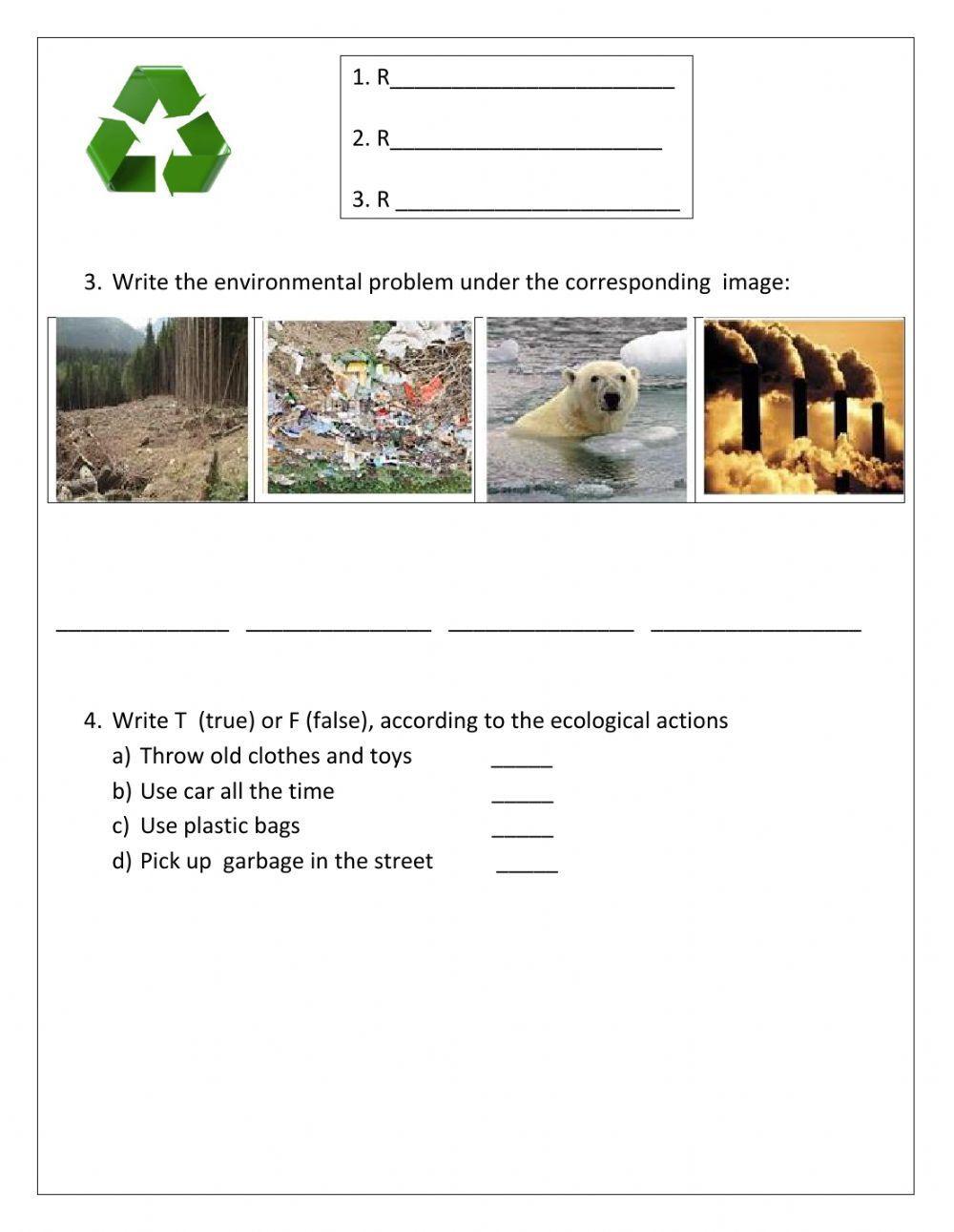 Social Studies Workshop - First Grade